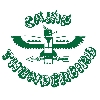 Camp Thunderbird For Girls logo