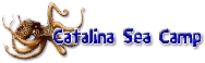 Catalina Sea Camp logo