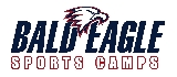 Bald Eagle Camps logo