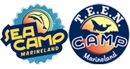 S E A Camp logo