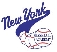 New York Baseball Academy logo