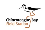 Chincoteague Bay Field Station Summer Camp logo