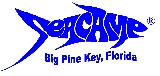 Seacamp logo